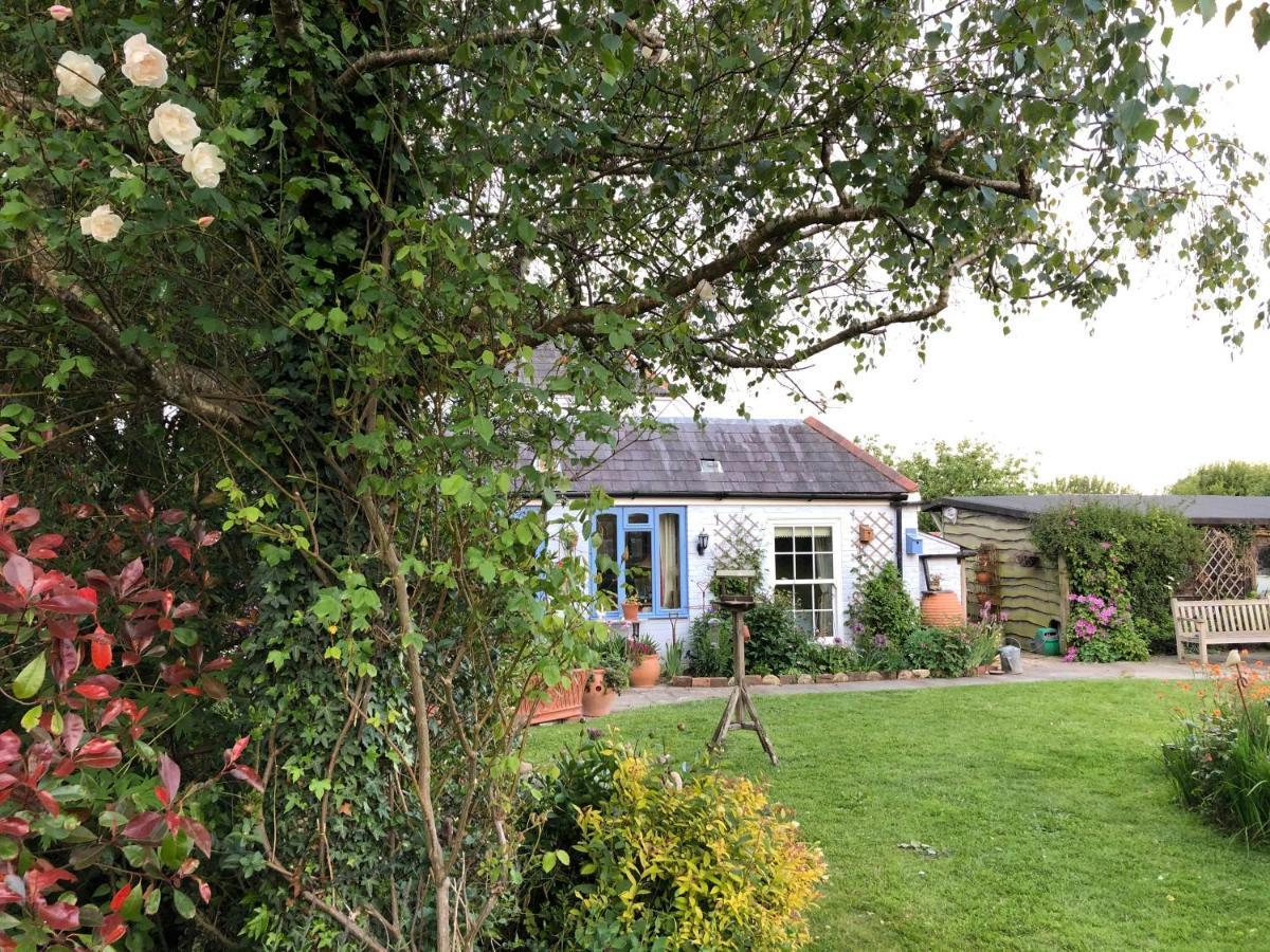 Cosy Cottage Ground Floor Bedroom Ensuite With Private Entrance Chichester Extérieur photo