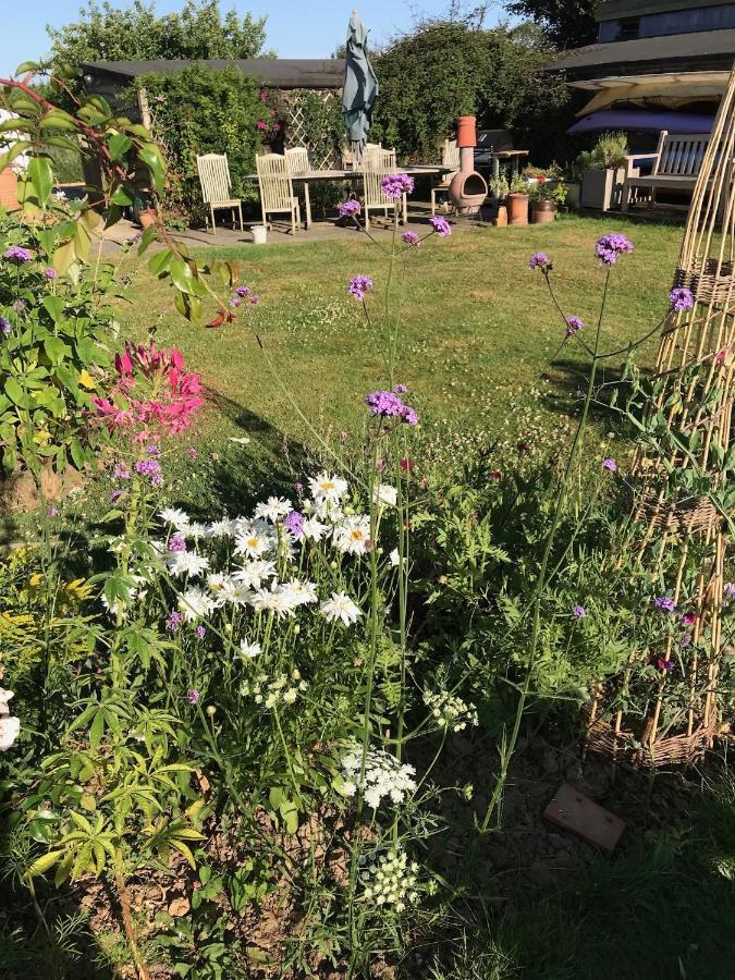 Cosy Cottage Ground Floor Bedroom Ensuite With Private Entrance Chichester Extérieur photo
